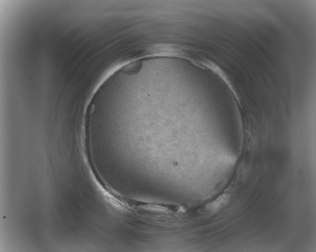 X0000067891147200604171330