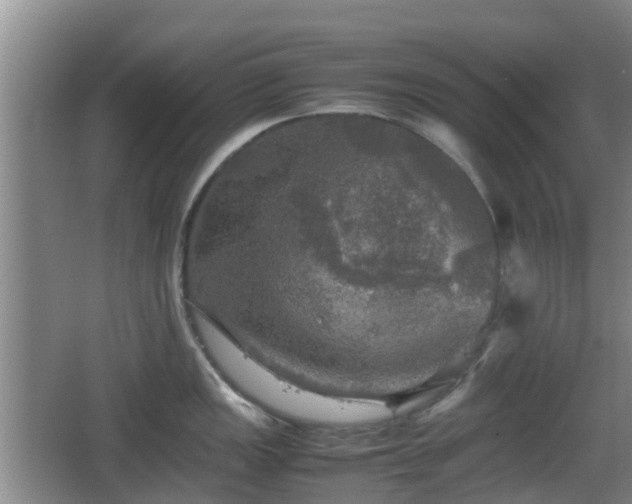 X0000067891149200604171330