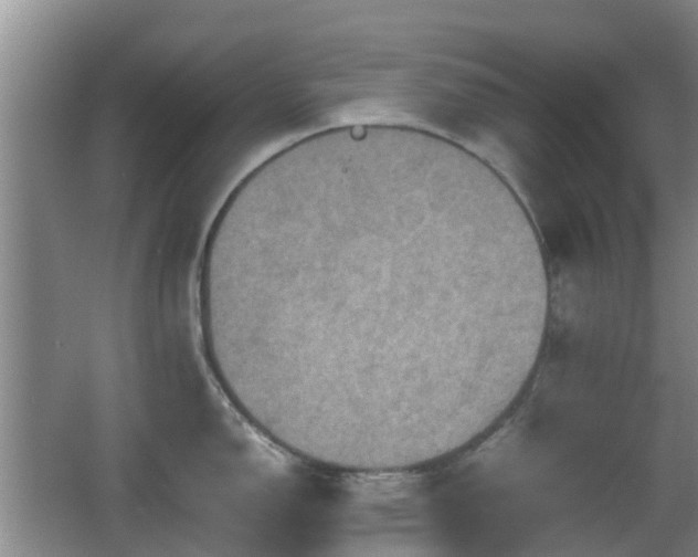 X0000067891150200604171330