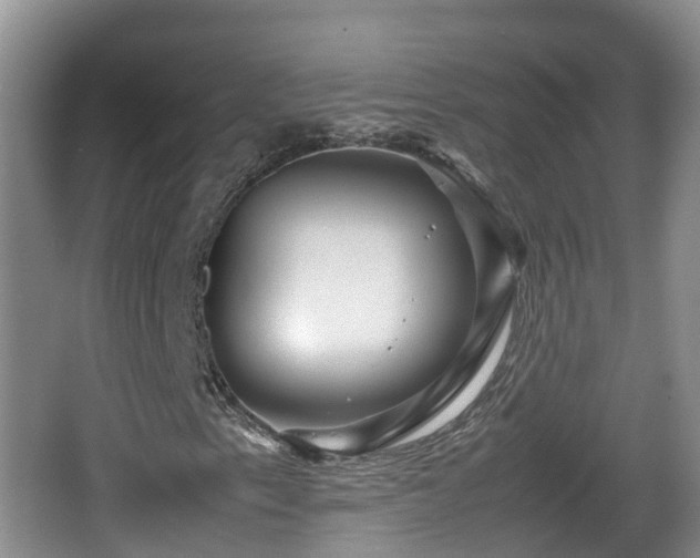 X0000067891153200604171330