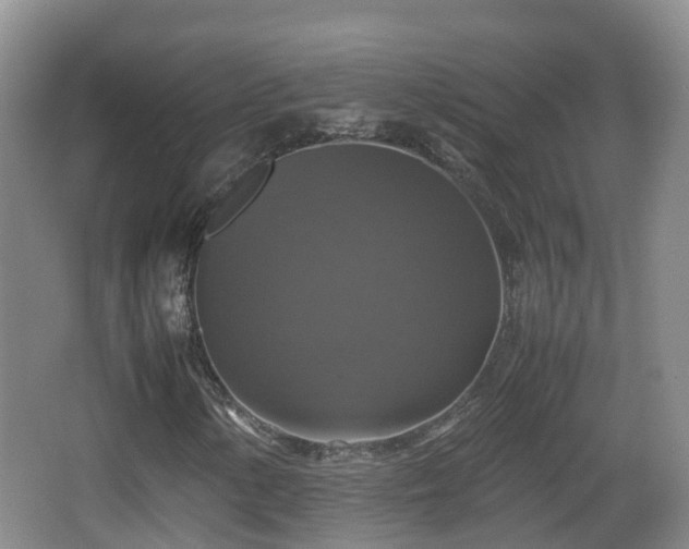 X0000067891154200604171330