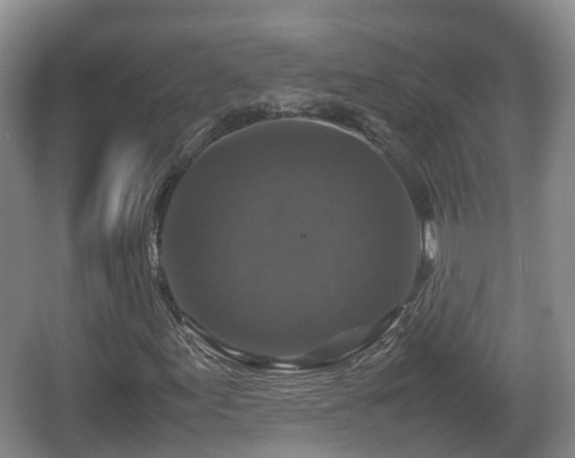 X0000067891155200604171330