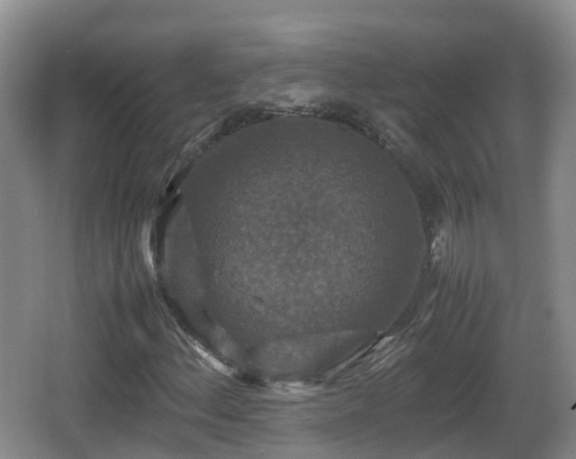 X0000067891156200604171330