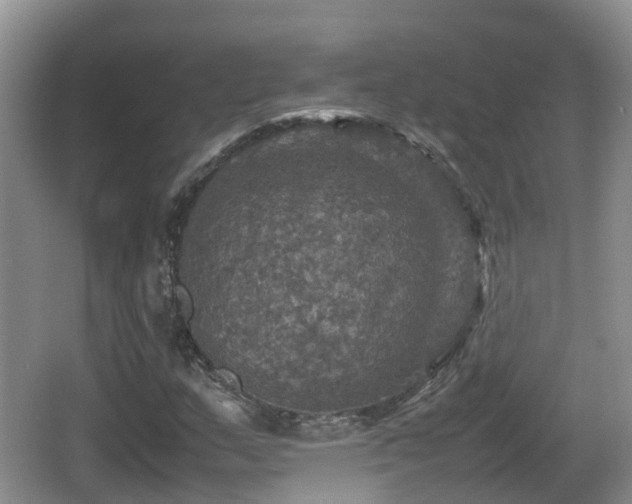 X0000067891159200604171330