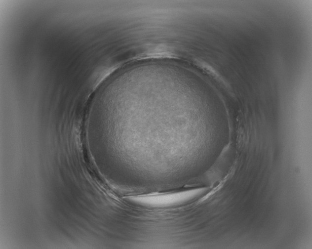 X0000067891162200604171329