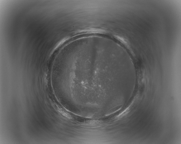 X0000067891163200604171329