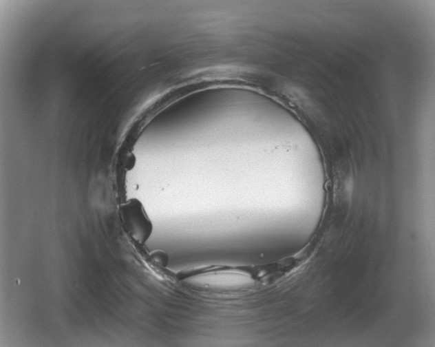 X0000067891164200604171329