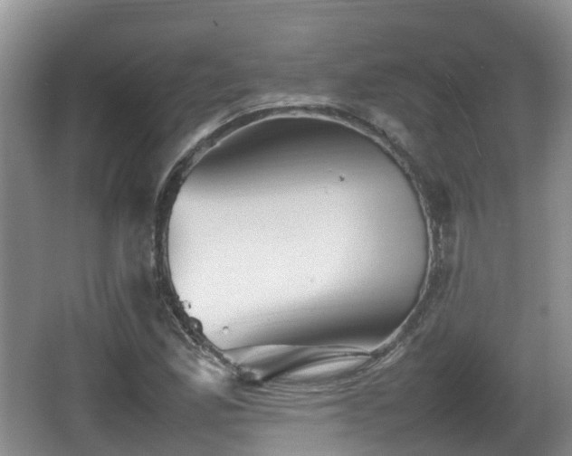 X0000067891165200604171329