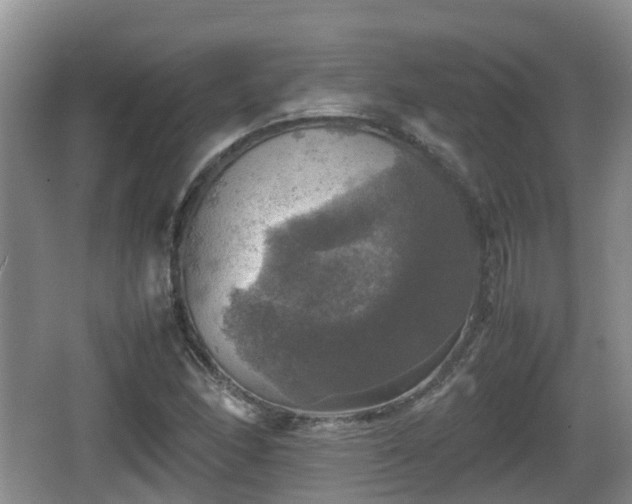 X0000067891166200604171329