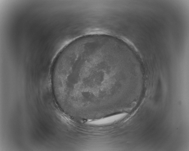 X0000067891167200604171329