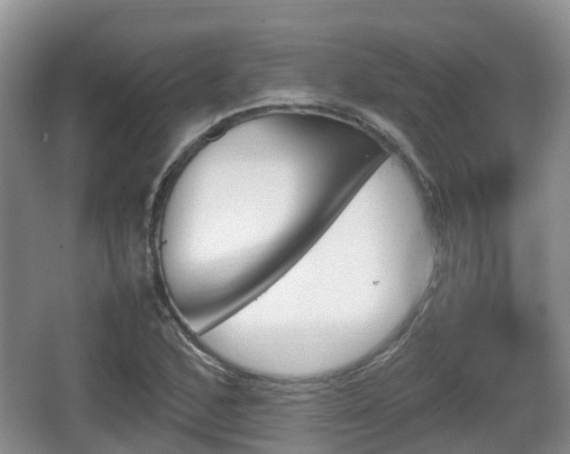 X0000067891168200604171329