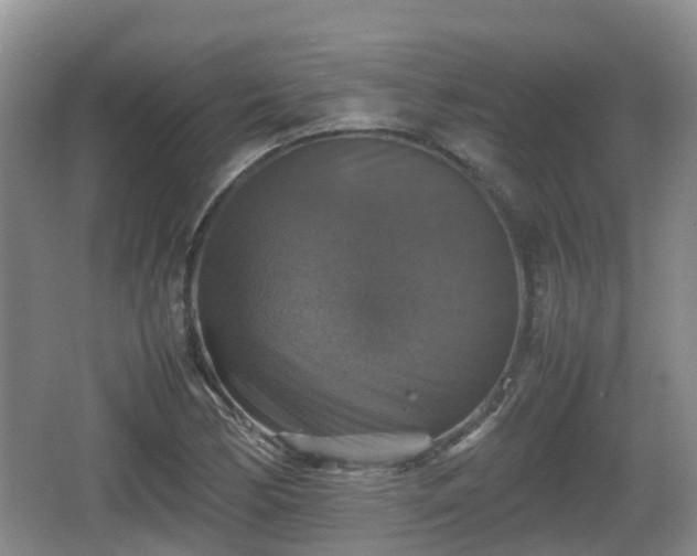 X0000067891170200604171329