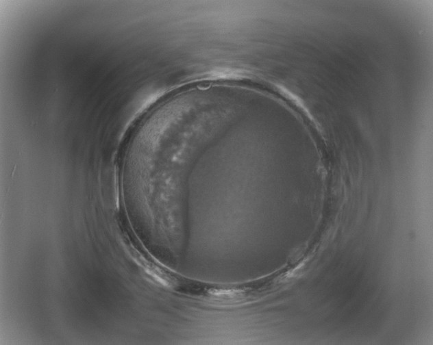 X0000067891171200604171329