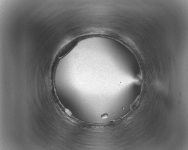 X0000067891172200604171329