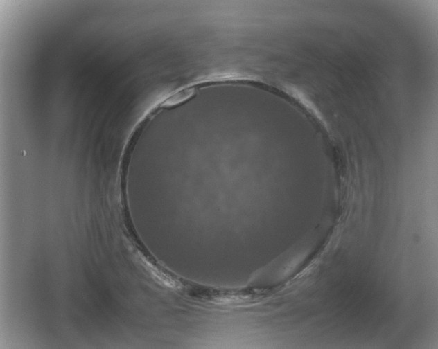 X0000067891173200604171329