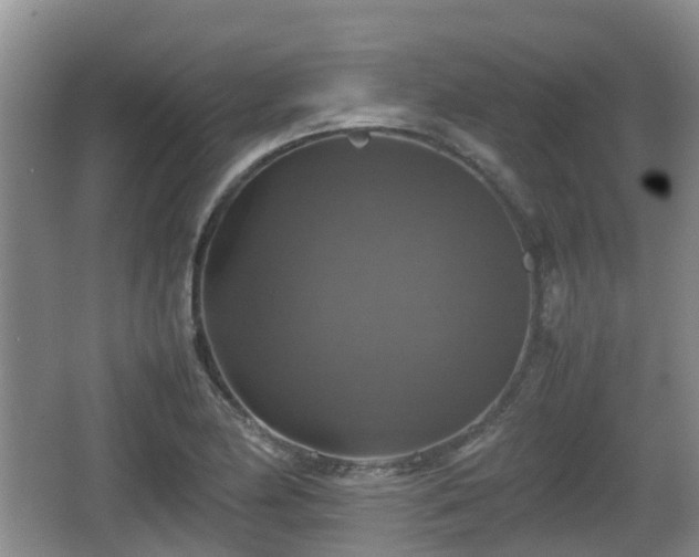 X0000067891174200604171329