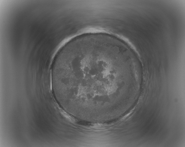 X0000067891175200604171329