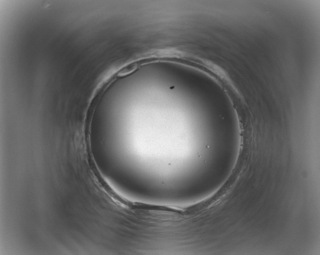 X0000067891176200604171329