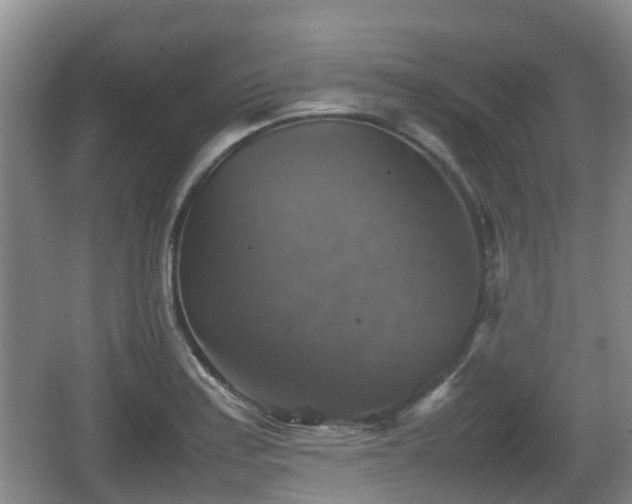 X0000067891179200604171329