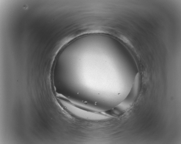 X0000067891181200604171329