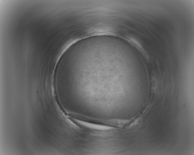 X0000067891182200604171329