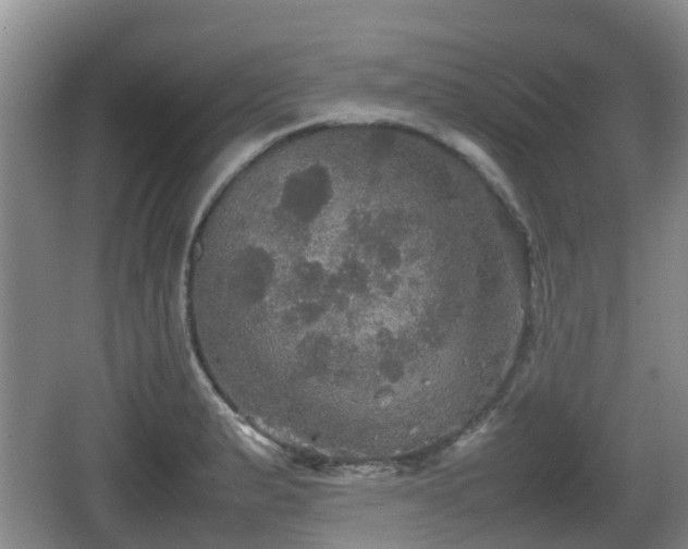 X0000067891183200604171329