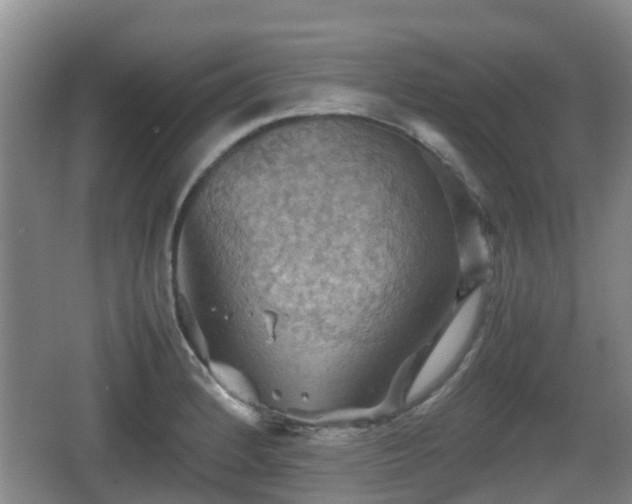 X0000067891184200604171329