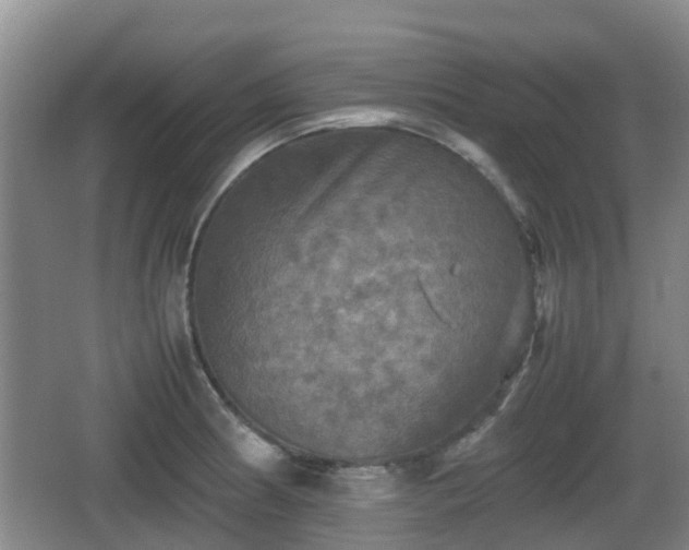 X0000067891186200604171329