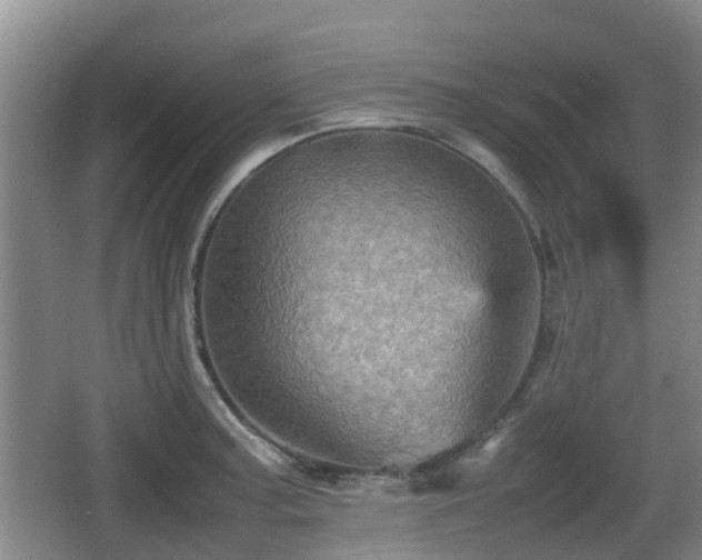 X0000067891187200604171329