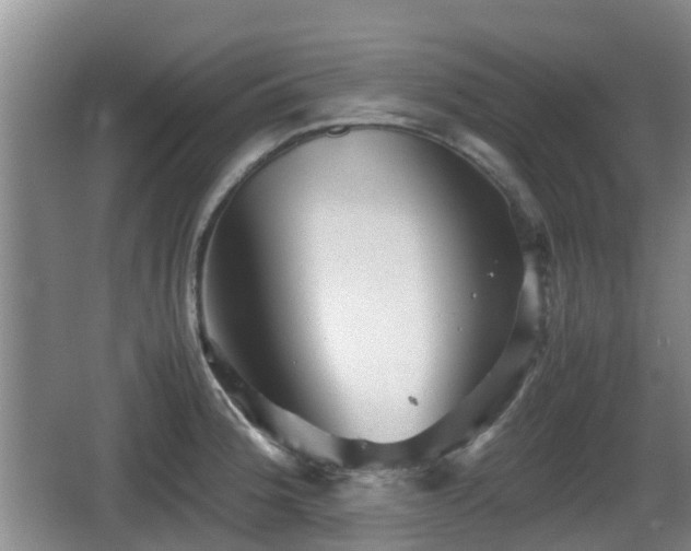 X0000067891188200604171329