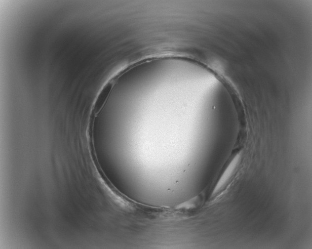 X0000067891189200604171329