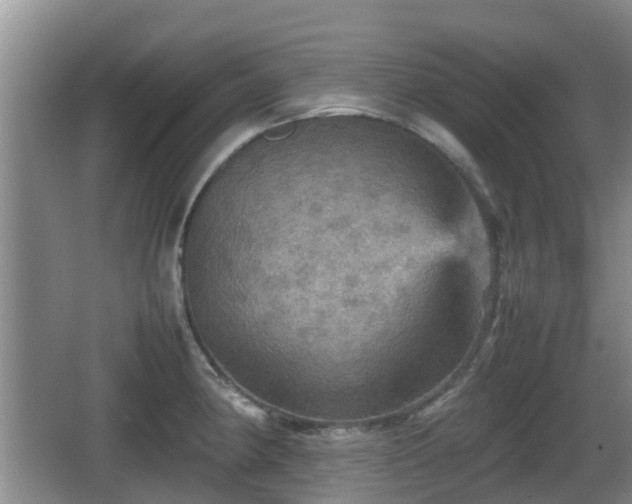 X0000067891190200604171329