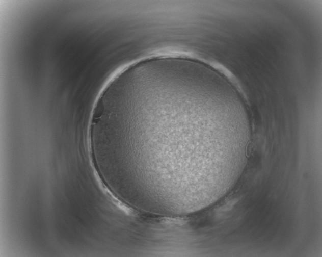 X0000067891191200604171329