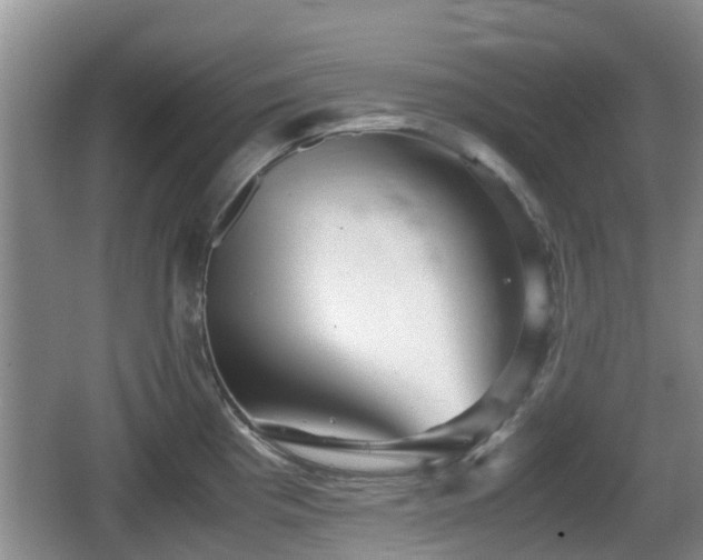 X0000067891193200604171329