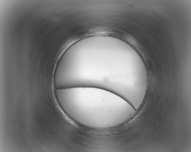 X0000067891194200604171329