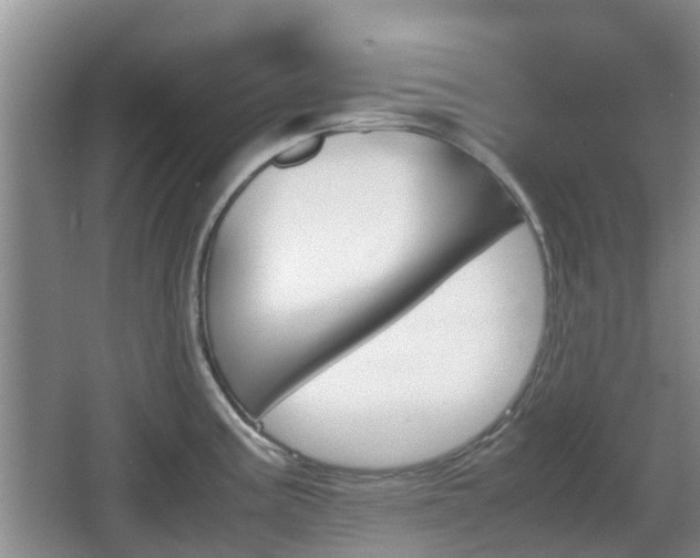 X0000067891195200604171329