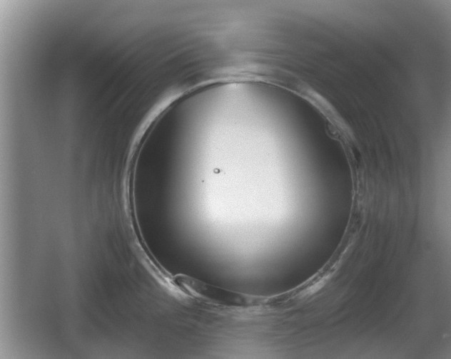 X0000067891196200604171329