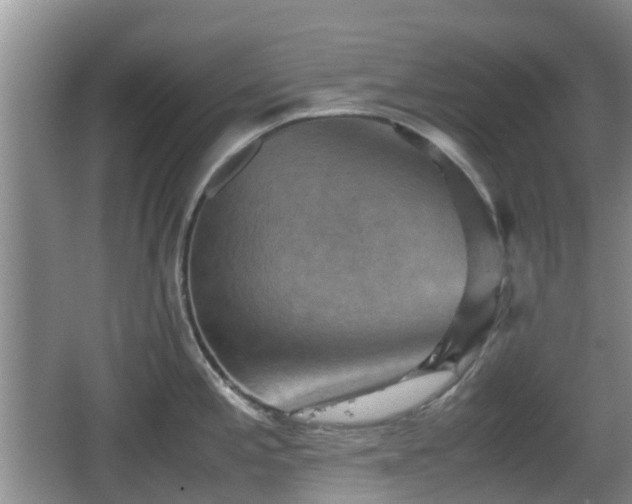 X0000067891197200604171329