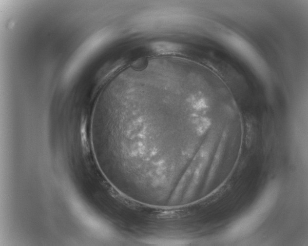 X0000067891198200604171329