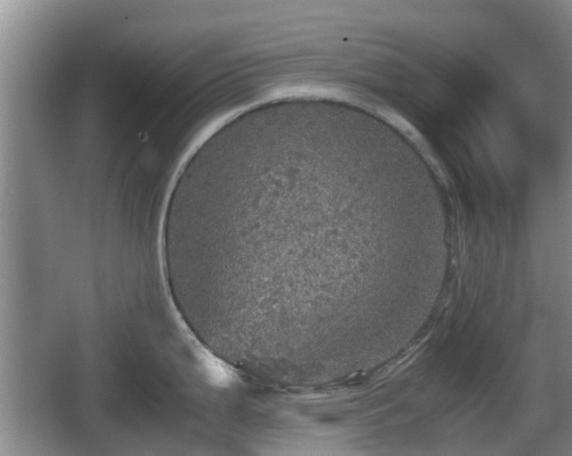 X0000067891199200604171329