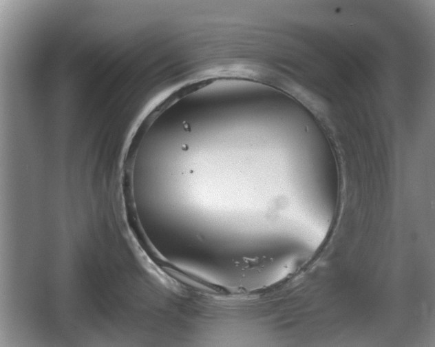 X0000067891200200604171329