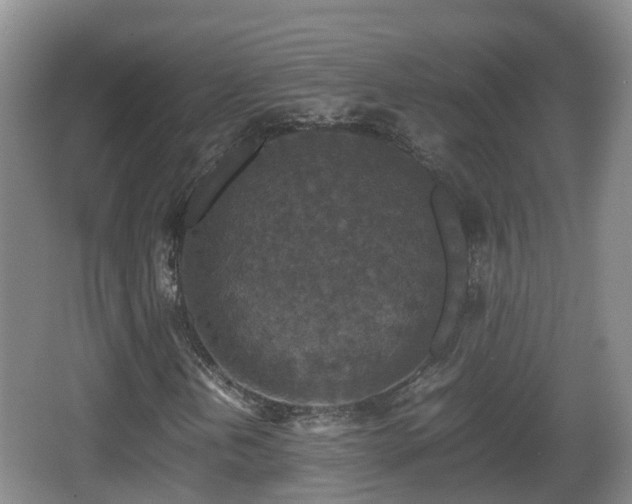 X0000067891202200604171328