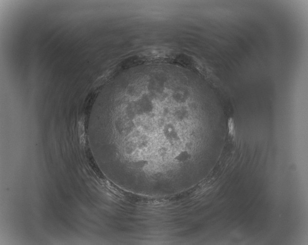 X0000067891203200604171328