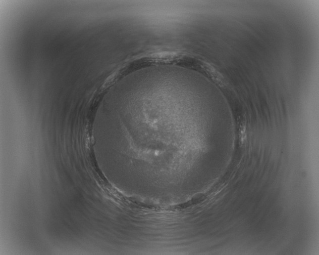 X0000067891204200604171328