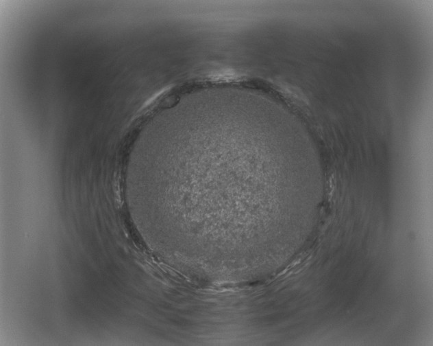 X0000067891205200604171328