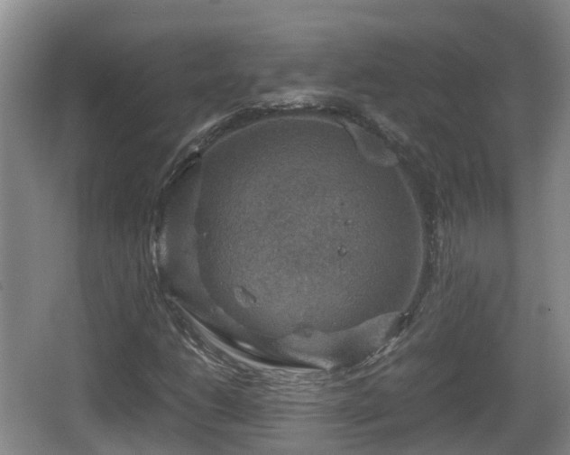 X0000067891206200604171328