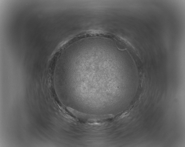 X0000067891207200604171328