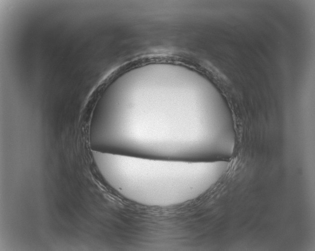 X0000067891208200604171328