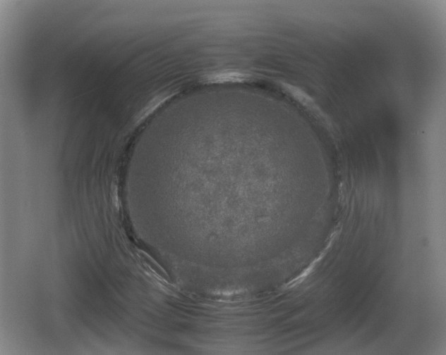 X0000067891209200604171328