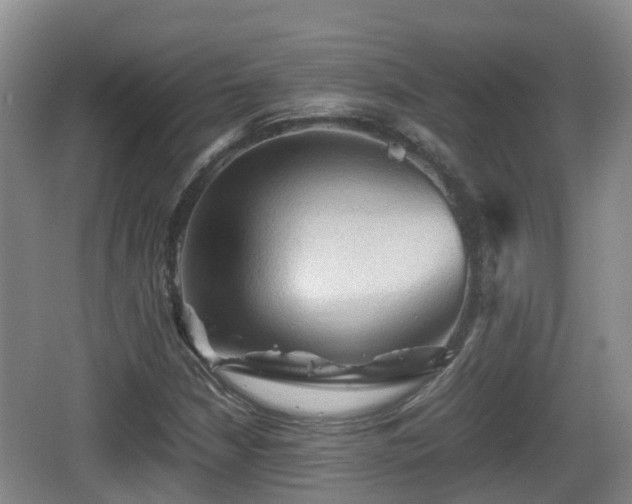 X0000067891210200604171328